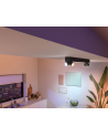 PHILIPS HUE White and color ambiance Centris czarny 5060730P7 - nr 8