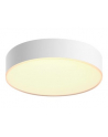 PHILIPS HUE White ambiance Enrave S 9,6W biały - nr 9