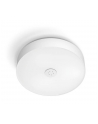 PHILIPS HUE White ambiance Enrave L 33,5W biały - nr 2