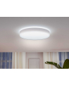 PHILIPS HUE White ambiance Enrave XL 48W biały - nr 10