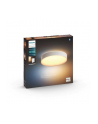 PHILIPS HUE White ambiance Devere L IP44 35,5W biały - nr 5