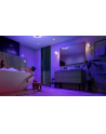 PHILIPS HUE White and color ambiance Xamento M IP44 33,5W biały - nr 2