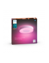 PHILIPS HUE White and color ambiance Xamento M IP44 33,5W biały - nr 6
