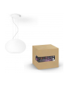 PHILIPS HUE White ambiance Flourish biały 929003053601 - nr 17