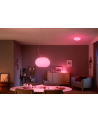 PHILIPS HUE White ambiance Flourish biały 929003053601 - nr 7