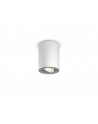 PHILIPS HUE White ambiance Pillar biały - nr 6