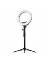 Streamplify Ring Light 14 + stojak lampa pierścieniowa (11979) - nr 1