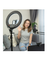 Streamplify Ring Light 14 + stojak lampa pierścieniowa (11979) - nr 5