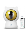 Tesla Smart Laser Dot Cats - nr 17