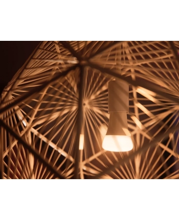PHILIPS HUE White ambiance Zestaw startowy 2 szt. E27 1100lm