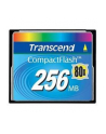 Memory/256MB Compact Flash Card 80x - nr 2