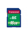 Transcend karta pamięci SDHC 16GB Class 4 - nr 6