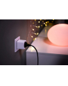 PHILIPS HUE Smart Plug / Inteligentne Gniazdko 929003050601 - nr 4