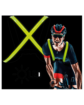 Easypix Lampka Do Zawieszenia 65001 1 Szt.