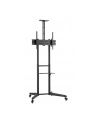 neomounts by newstar Stojak mobilny FL50-550BL1 - nr 11