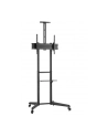 neomounts by newstar Stojak mobilny FL50-550BL1 - nr 46