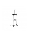 neomounts by newstar Stojak mobilny FL50-550BL1 - nr 99