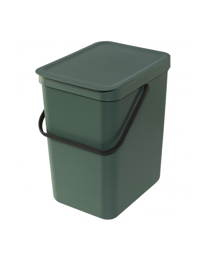 Brabantia kosz na odpadki Sort & Go zielony Pine 25 l główny