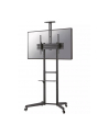neomounts by newstar Stojak mobilny FL50-550BL1 - nr 92