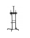 neomounts by newstar Stojak mobilny FL50-550BL1 - nr 96