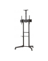 neomounts by newstar Stojak mobilny FL50-550BL1 - nr 97