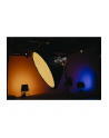 Lampa LED Aputure LS-600X Pro 2700-6500K V-Mount [Bowens] - nr 10
