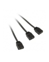 Kolink rozgałęziacz oświetlenia 2x ARGB 3-pin LED 30cm z adapterem męski / żeński, czarny - nr 3