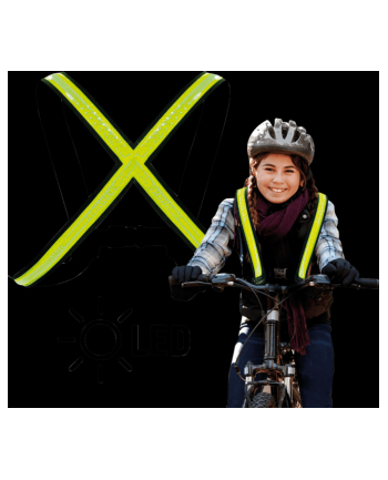Easypix Lampka Do Zawieszenia 65000 1 Szt.
