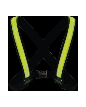 Easypix Lampka Do Zawieszenia 65000 1 Szt.