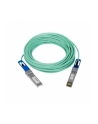 netgear Kabel AXC7615-10000S DAC 15M SFP+ - nr 7