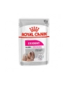 ROYAL CANIN CCN EXIGENT LOAF - mokra karma dla psa dorosłego - 12x85g - nr 3
