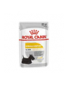 Karma ROYAL CANIN CCN D-ERMACOMFORT LOAF 12X85G - nr 3