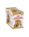 ROYAL CANIN BHN Shih Tzu Adult w formie pasztetu - mokra karma dla psa dorosłego - 12x85g - nr 1