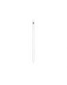 TARGUS iOS Active Stylus AM Coating - nr 27
