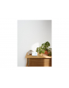 Google Nest Hub 2 Grigio Chiaro - nr 14