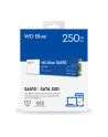 western digital WD Blue SA510 SSD 250GB M.2 2280 SATA III 6Gb/s internal single-packed - nr 7