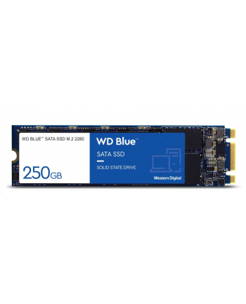 western digital WD Blue SA510 SSD 500GB M.2 2280 SATA III 6Gb/s internal single-packed