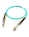 CISCO 25GBASE Active Optical SFP28 Cable 10 Meter - nr 1