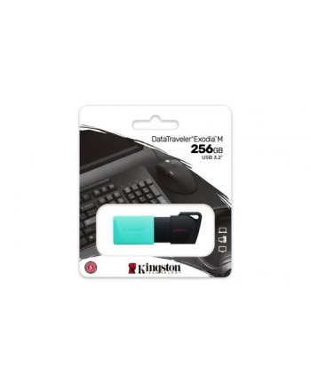 KINGSTON 256GB DataTraveler Exodia M nr 2