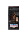 purina nestle Karma Purina ProPlan Adult Large Athletic 14kg - nr 1