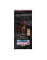 purina nestle Karma Purina ProPlan Adult Large Athletic 14kg - nr 1