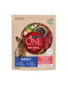 purina nestle Karma One Mini Adult bogata w wołowinę z ryżem 800g - nr 1