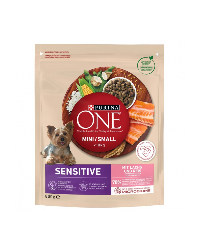 purina nestle Karma One Mini DeliCate z łososiem i ryżem 800g główny