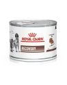 Royal Canin Vet Recovery Canine Feline 195g - nr 1