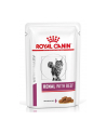 Royal Canin Vet Renal Feline With Beef 12X85g - nr 1