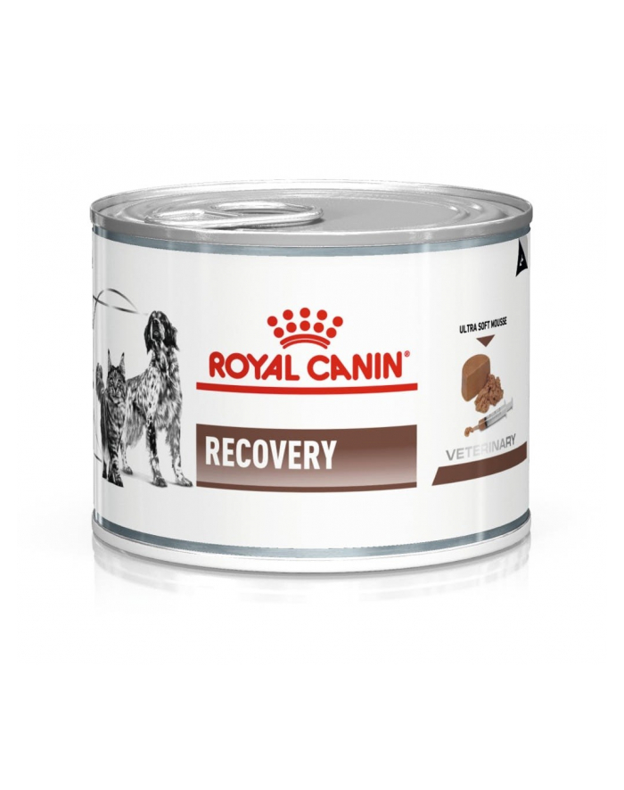 Royal Canin Vet Recovery Canine Feline 195g główny
