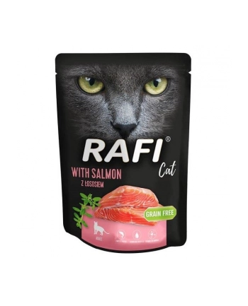 Dolina Noteci Rafi Cat z łososiem dla kota 300g