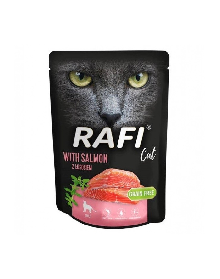 Dolina Noteci Rafi Cat z łososiem dla kota 300g główny