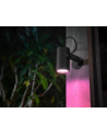 PHILIPS HUE White and color ambiance Lily czarny 1741430P7 - nr 21