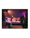 PHILIPS HUE White and color ambiance Lily czarny 1741430P7 - nr 4